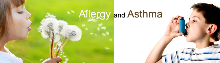 What Is The Difference Between Asthma And Allergies?