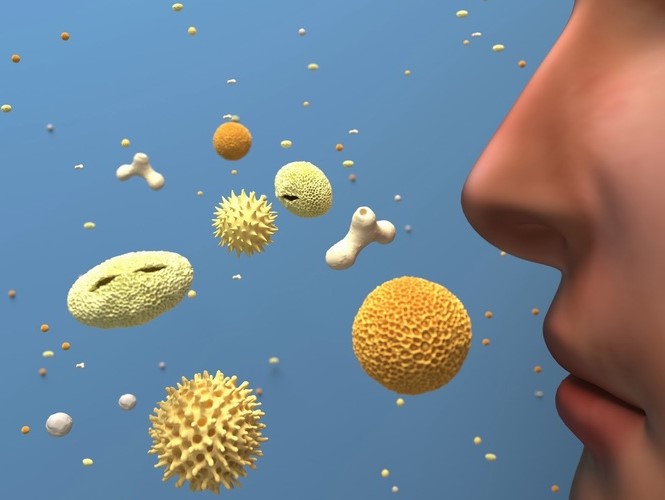 How to Manage Your Severe Allergies