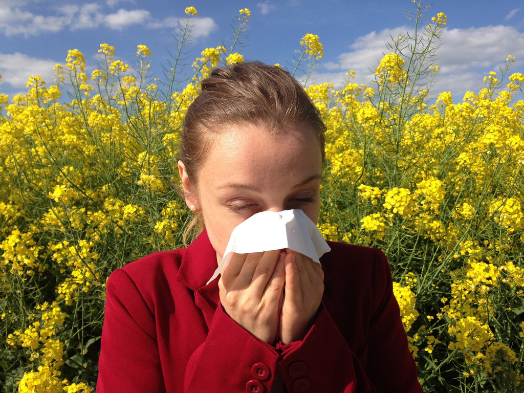Allergies vs Asthma: Distinguishing and Managing